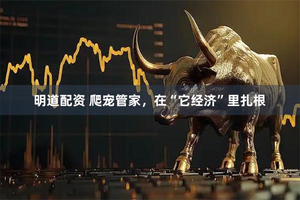 明道配资 爬宠管家，在“它经济”里扎根